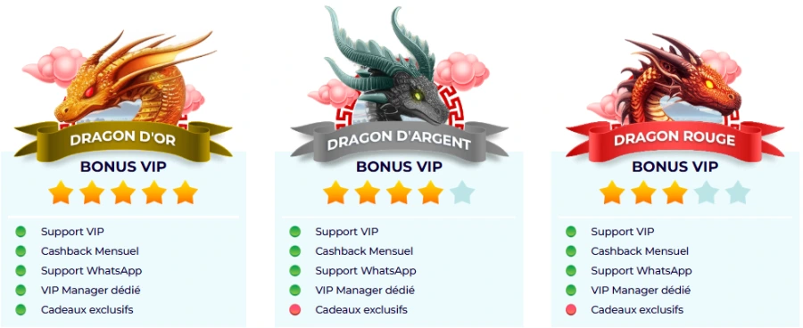 Programme VIP Spin Dynasty